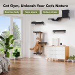 【GIFAIRY】5-in-1 Cat Wall Shelves – Multi-Level Climbing System with Bed, Cave, Perch & Scratching Post, Space-Saving Playground for Indoor Cats, Natural Wood Gray 【GIFAIRY】5-in-1 Cat Wall Shelves – Multi-Level Climbing System with Bed, Cave, Perch & Scratching Post, Space-Saving Playground for Indoor Cats, Natural Wood Gray