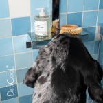 【DedCool】Pet Shampoo – 01 Taunt | Gentle Plant-Based Cleanser for Dogs, Sulfate-Free & Dye-Free, Leaves Soft Fresh Coats, Vegan, 16.9 fl oz 【DedCool】Pet Shampoo – 01 Taunt | Gentle Plant-Based Cleanser for Dogs, Sulfate-Free & Dye-Free, Leaves Soft Fresh Coats, Vegan, 16.9 fl oz