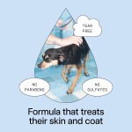 【DedCool】Pet Shampoo – 01 Taunt | Gentle Plant-Based Cleanser for Dogs, Sulfate-Free & Dye-Free, Leaves Soft Fresh Coats, Vegan, 16.9 fl oz 【DedCool】Pet Shampoo – 01 Taunt | Gentle Plant-Based Cleanser for Dogs, Sulfate-Free & Dye-Free, Leaves Soft Fresh Coats, Vegan, 16.9 fl oz