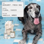 【DedCool】Pet Shampoo – 01 Taunt | Gentle Plant-Based Cleanser for Dogs, Sulfate-Free & Dye-Free, Leaves Soft Fresh Coats, Vegan, 16.9 fl oz 【DedCool】Pet Shampoo – 01 Taunt | Gentle Plant-Based Cleanser for Dogs, Sulfate-Free & Dye-Free, Leaves Soft Fresh Coats, Vegan, 16.9 fl oz