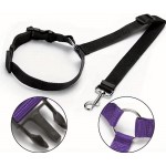 【Foot Waltz】Adjustable Pet Seat Belt for Dogs & Cats – Safety Car Harness with Headrest Restraint, Secure Travel Supplies, Black